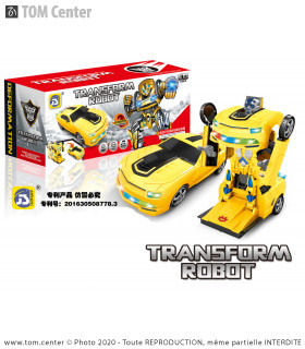 Robot/Voiture à pile